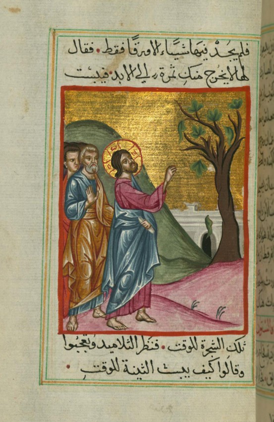 Великий Понедельник. Проклятие смоковницы. Книжная миниатюра из арабского Евангелия, XVII век