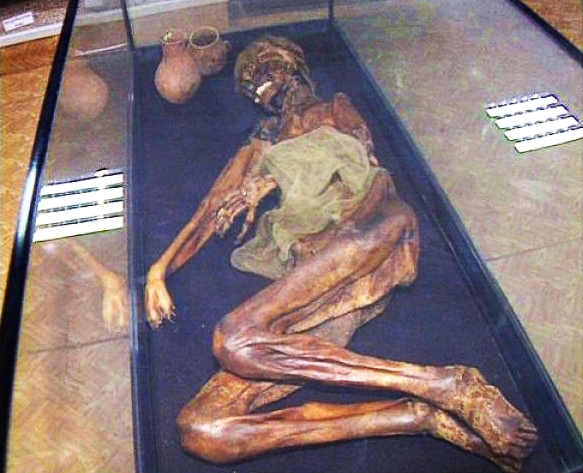Мумия Уококской "принцессы", найденной в 1993 году на Алтае