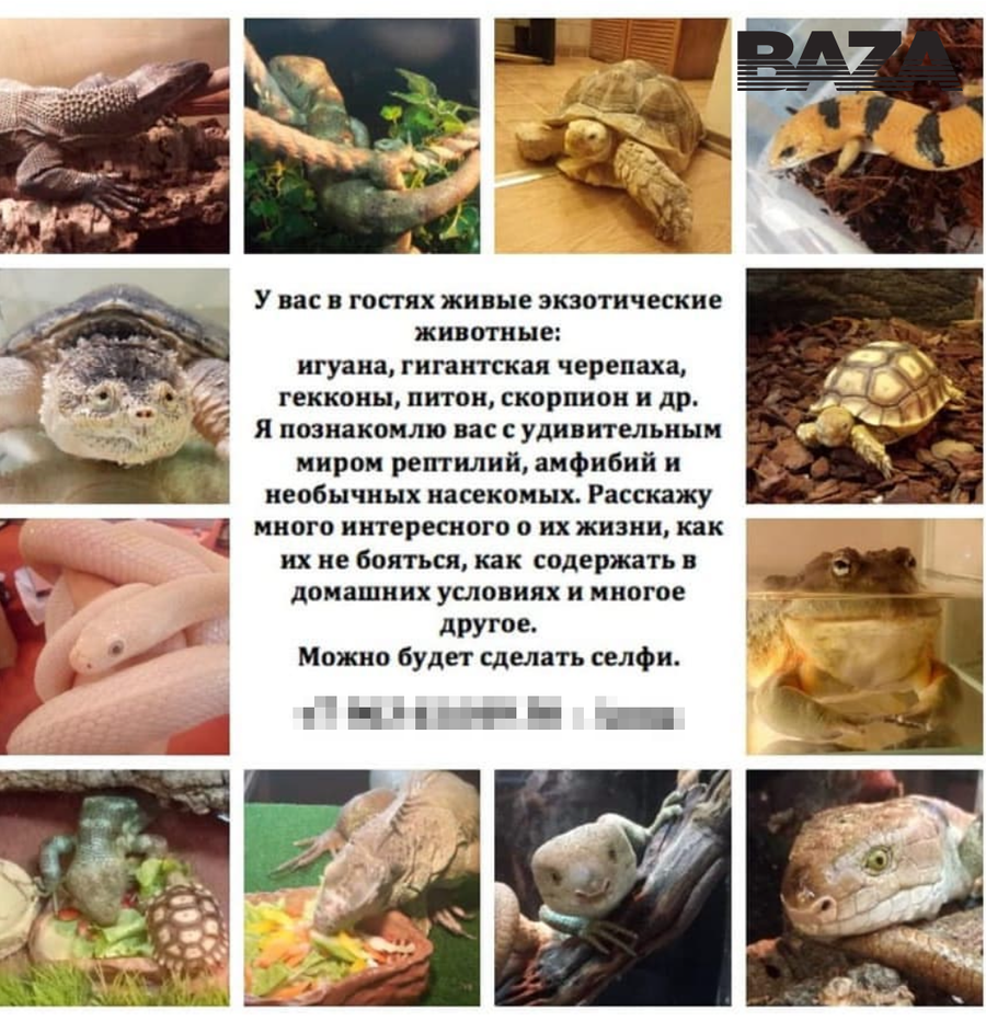 ������� "����" ����