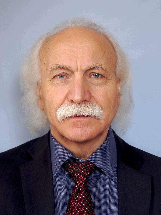 Михаил Щетинин, основатель школы