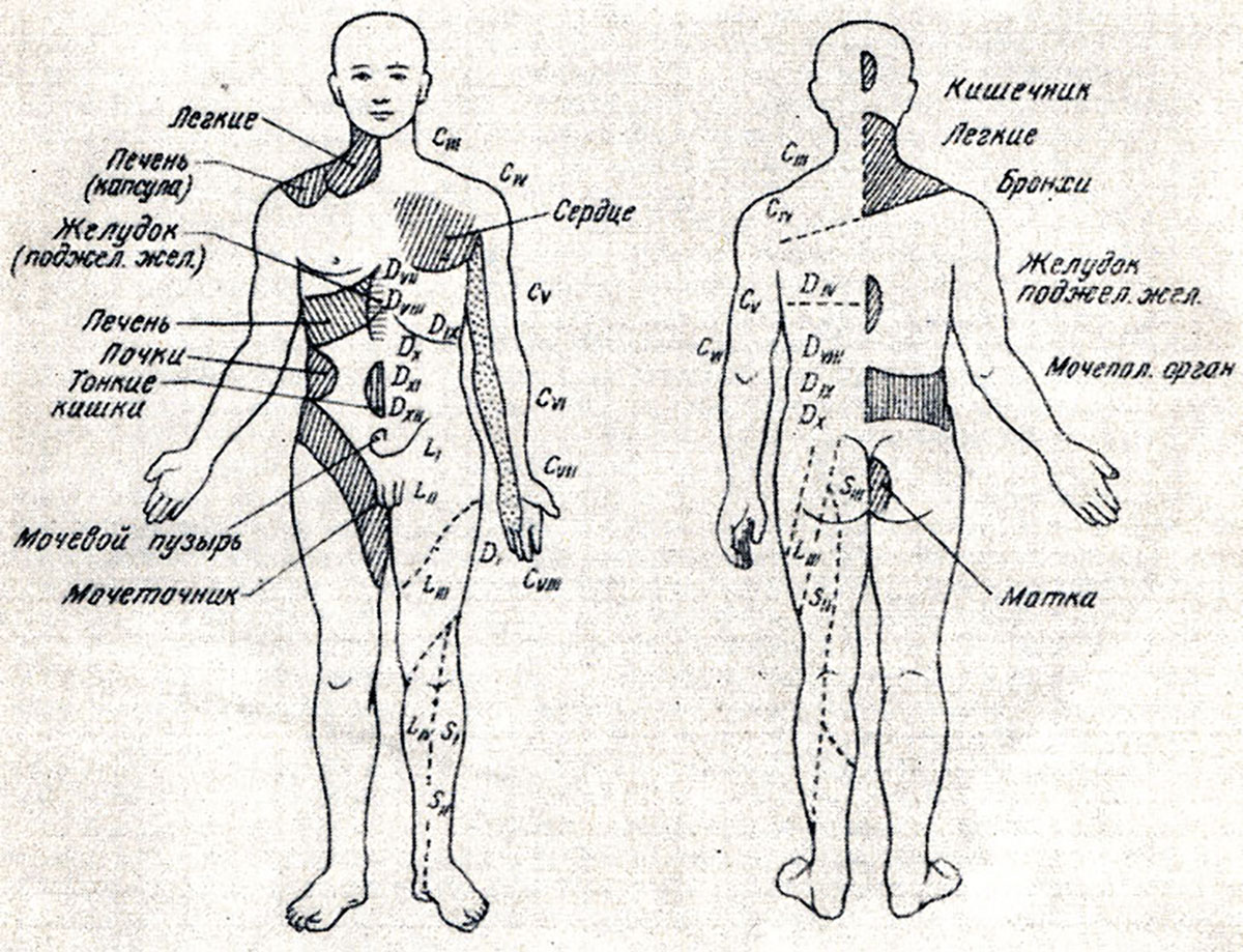 ���� ���������-����